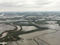 Senipah: Terminal Minyak dan Kondensat di Delta Mahakam